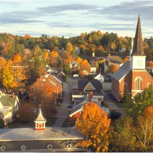 Say Goodbye To Your Ash Trees Ash Borer Spreads To Montpelier